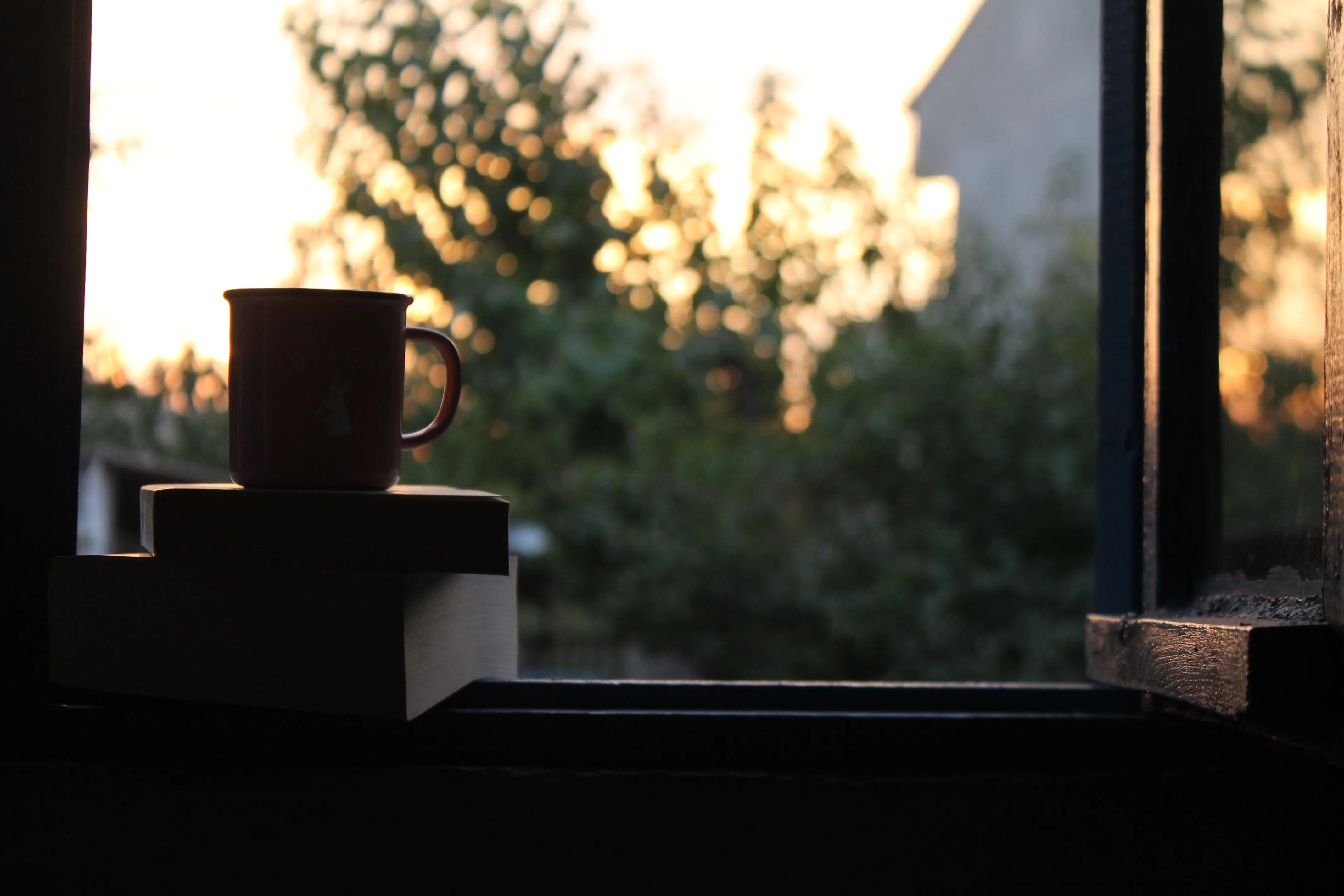A peaceful sunset view from a window, featuring a mug atop two books.