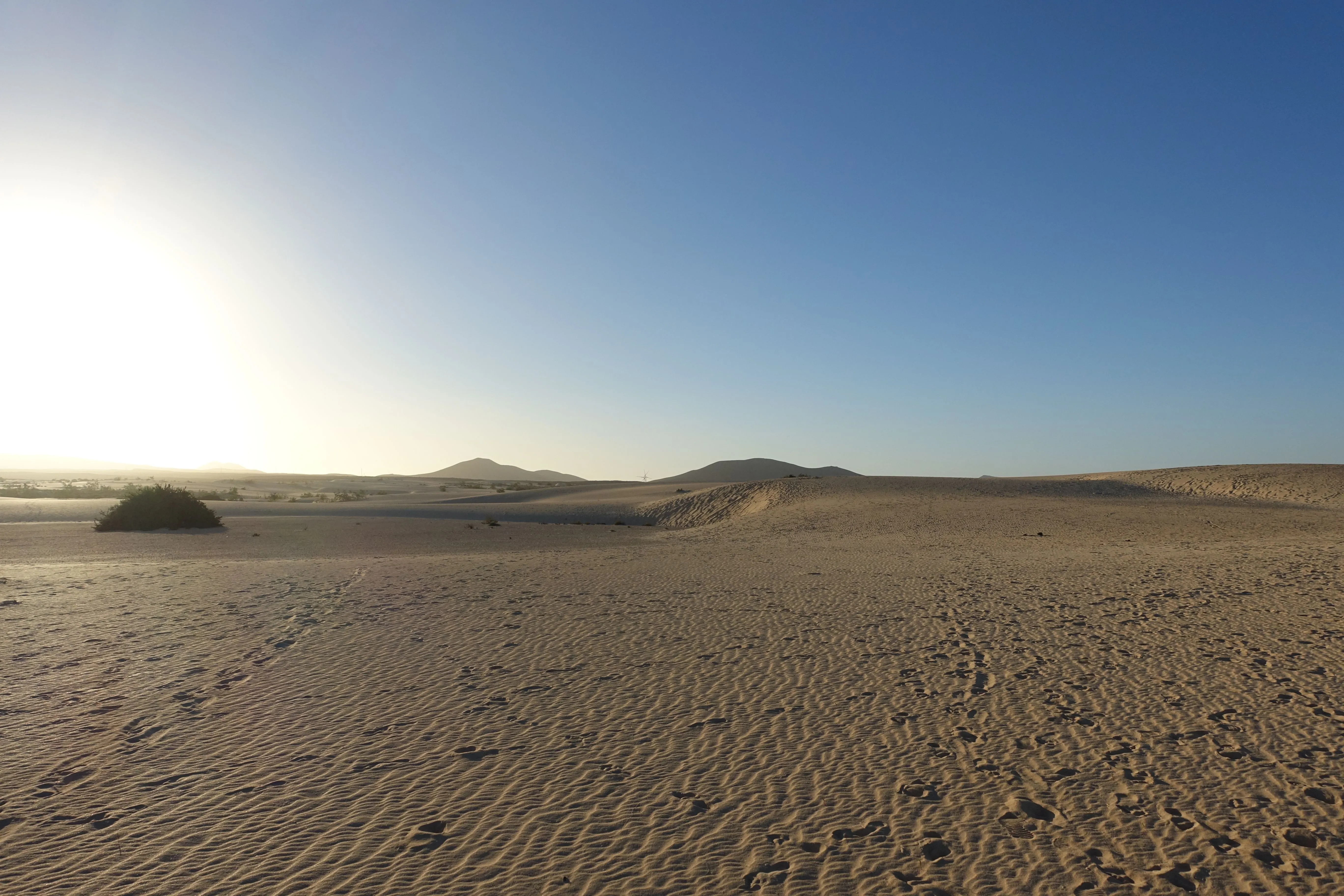 A serene view of a vast desert landscape with sand dunes at sunset.