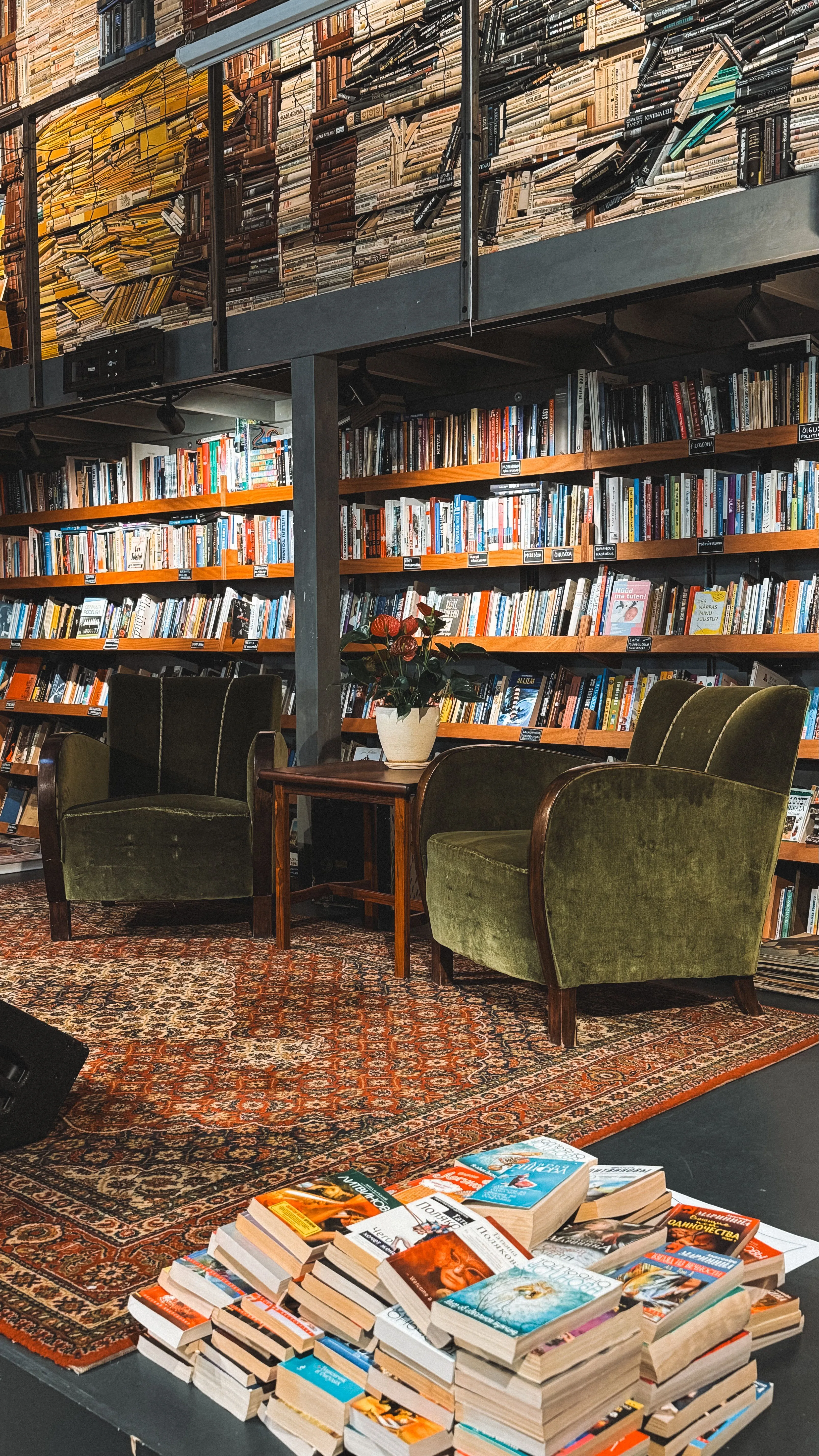Inviting reading area with vintage chairs and books in a cozy bookstore setting.
