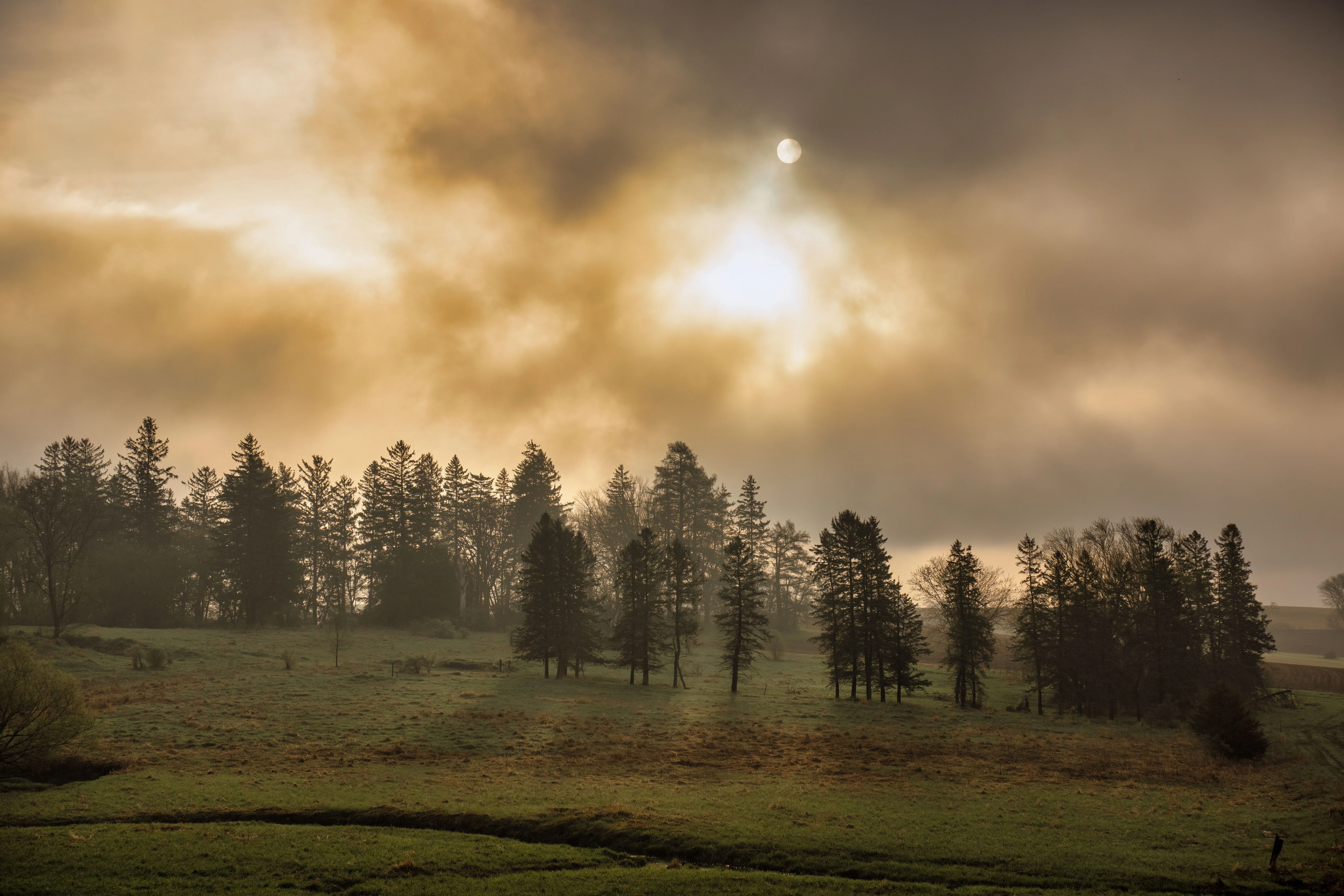 Beautiful landscape with dramatic sky and sunlight piercing through misty trees in a rural meadow.
