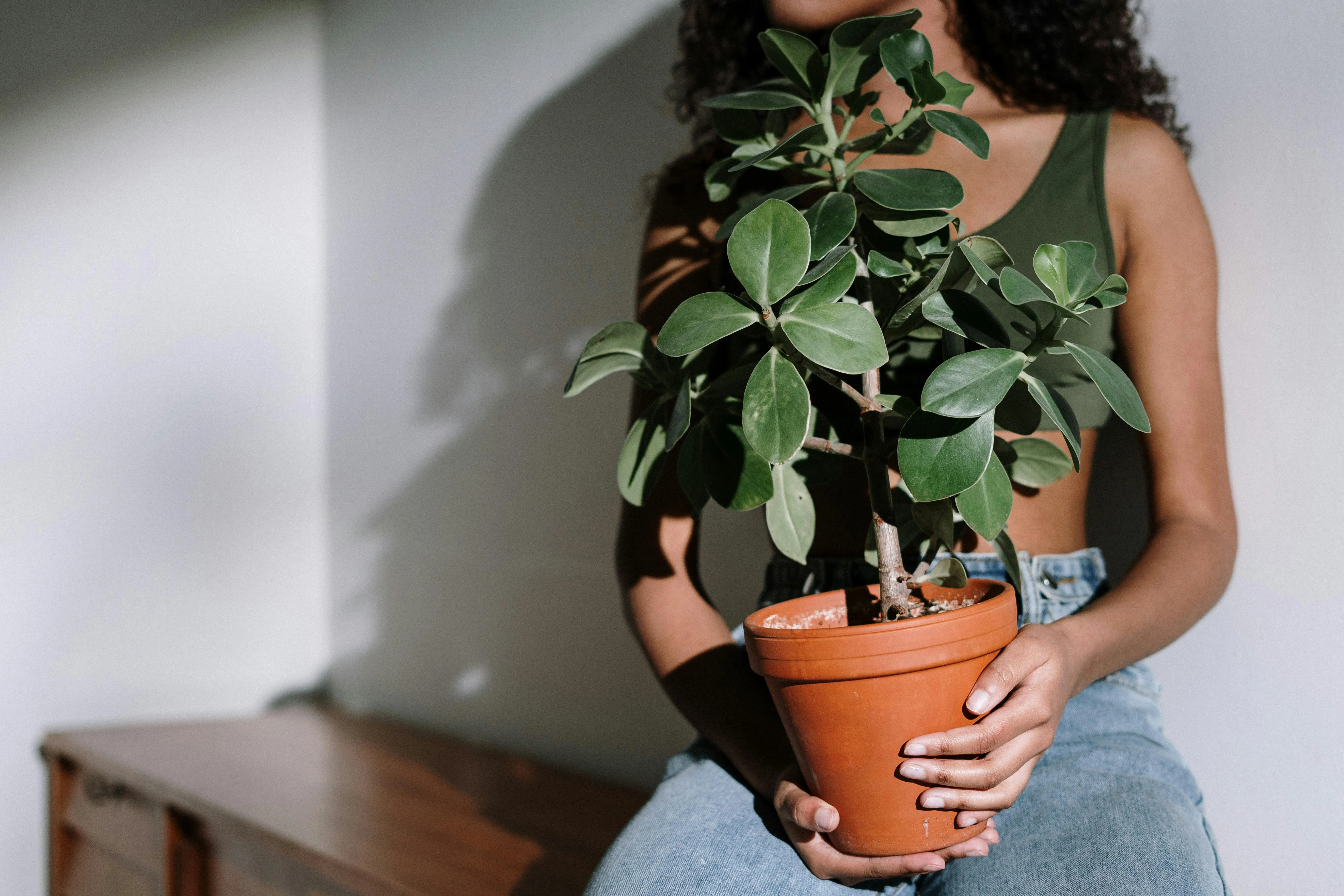 A woman sits holding a potted plant in a sunlit indoor room with a serene ambiance.