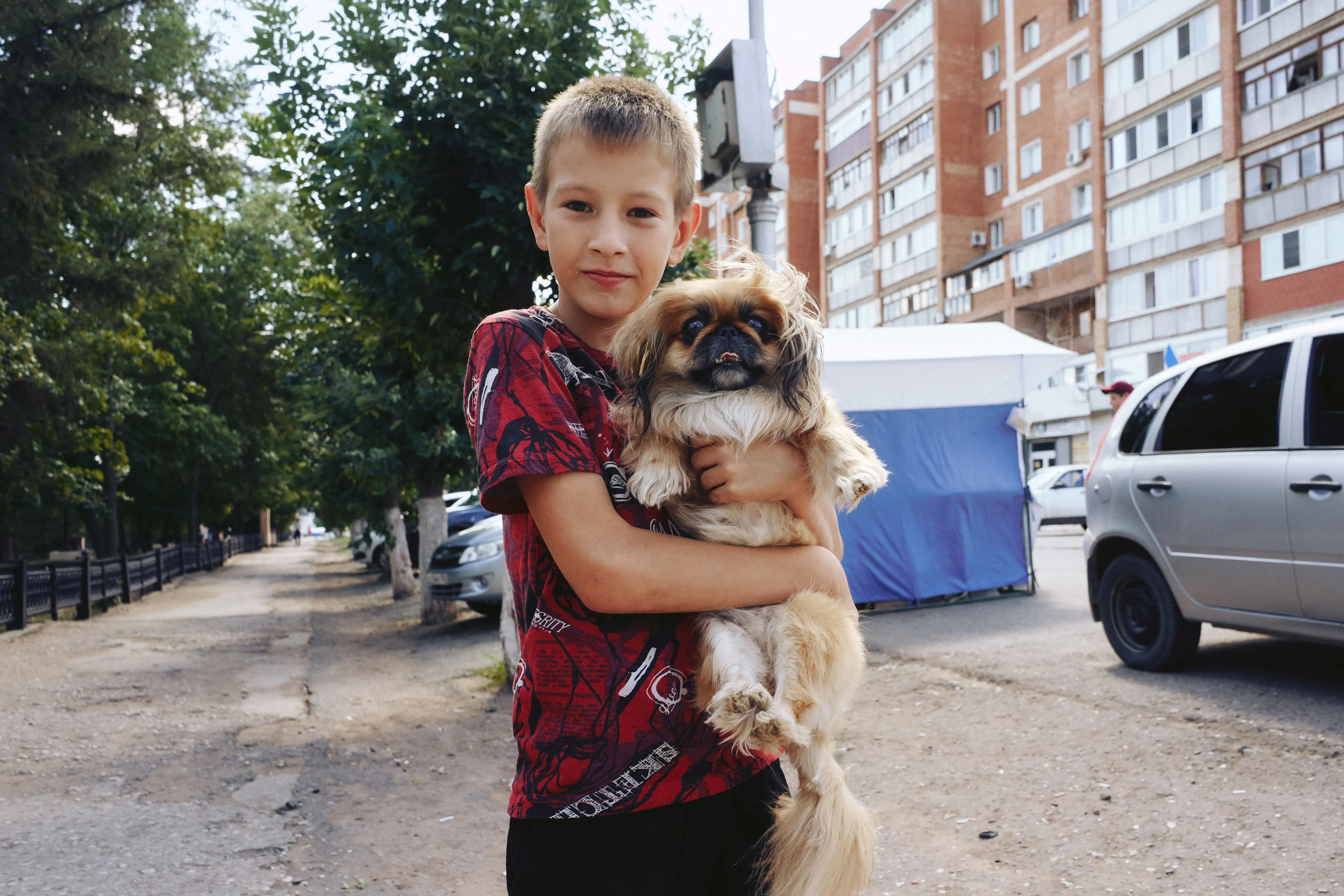Child with a Shih Tzu dog on a city street, highlighting companionship and urban life.