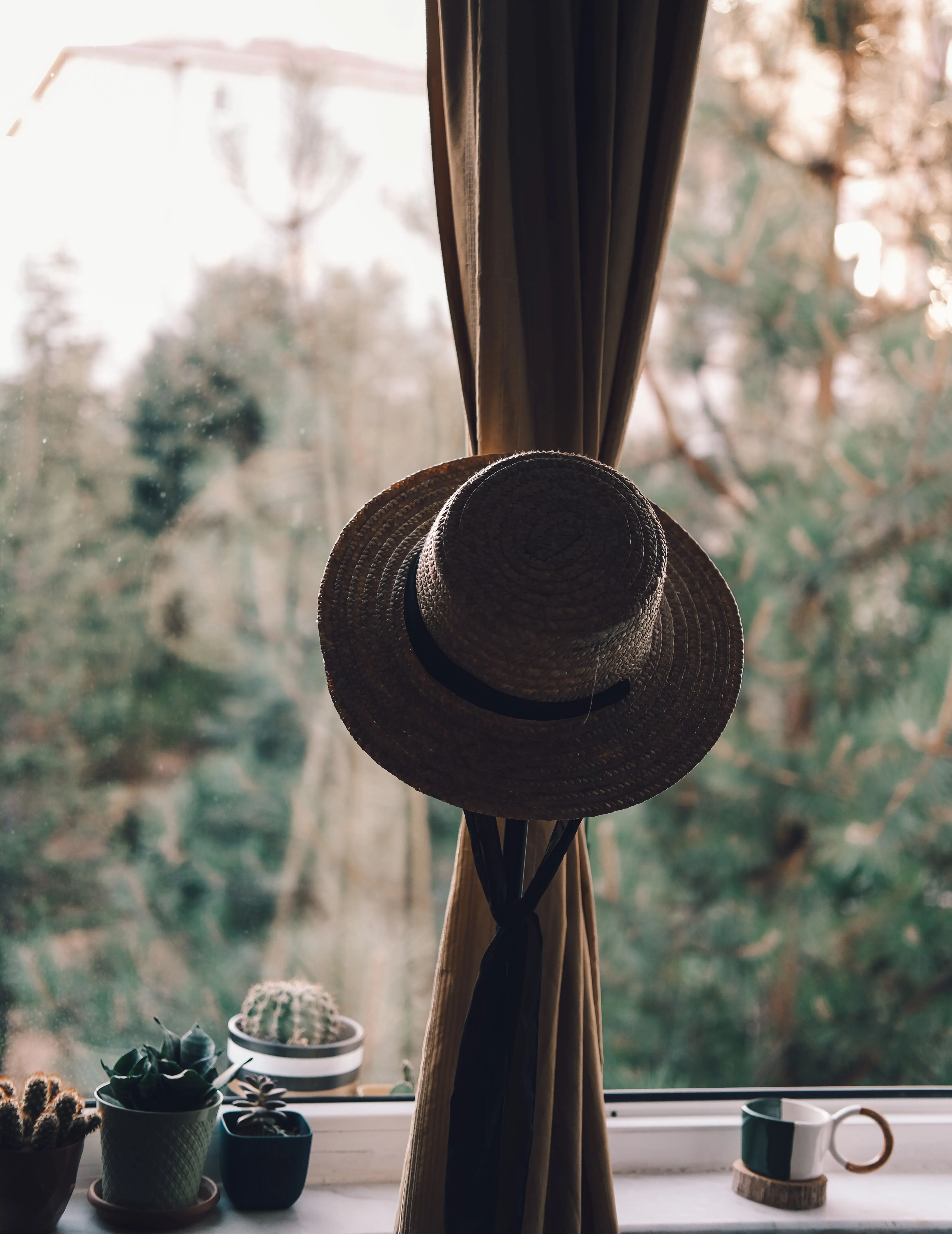Calm interior scene featuring a straw hat, potted plants, and a window view of nature.