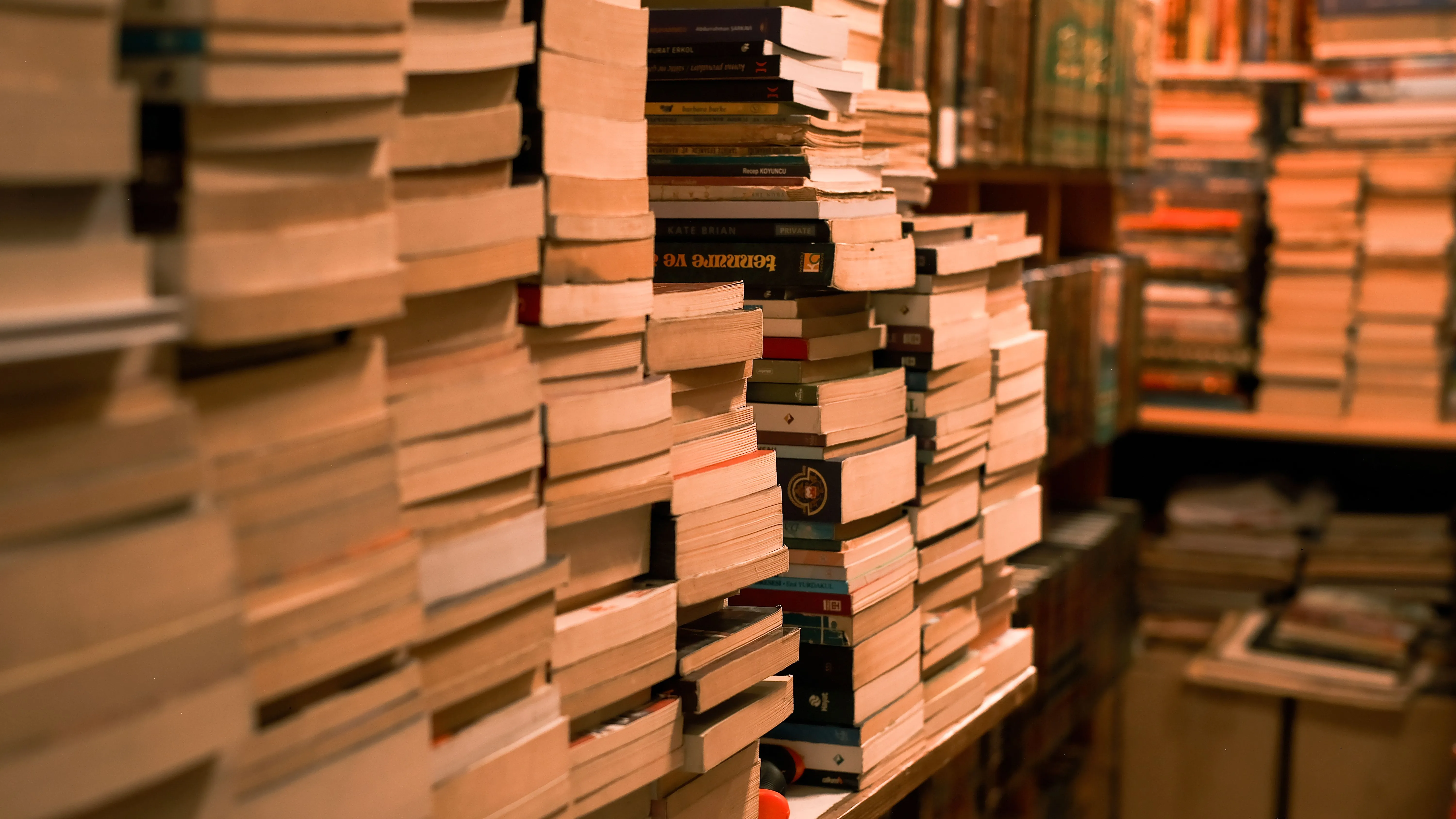 Explore shelves filled with vintage books stacked high in a cozy bookstore.