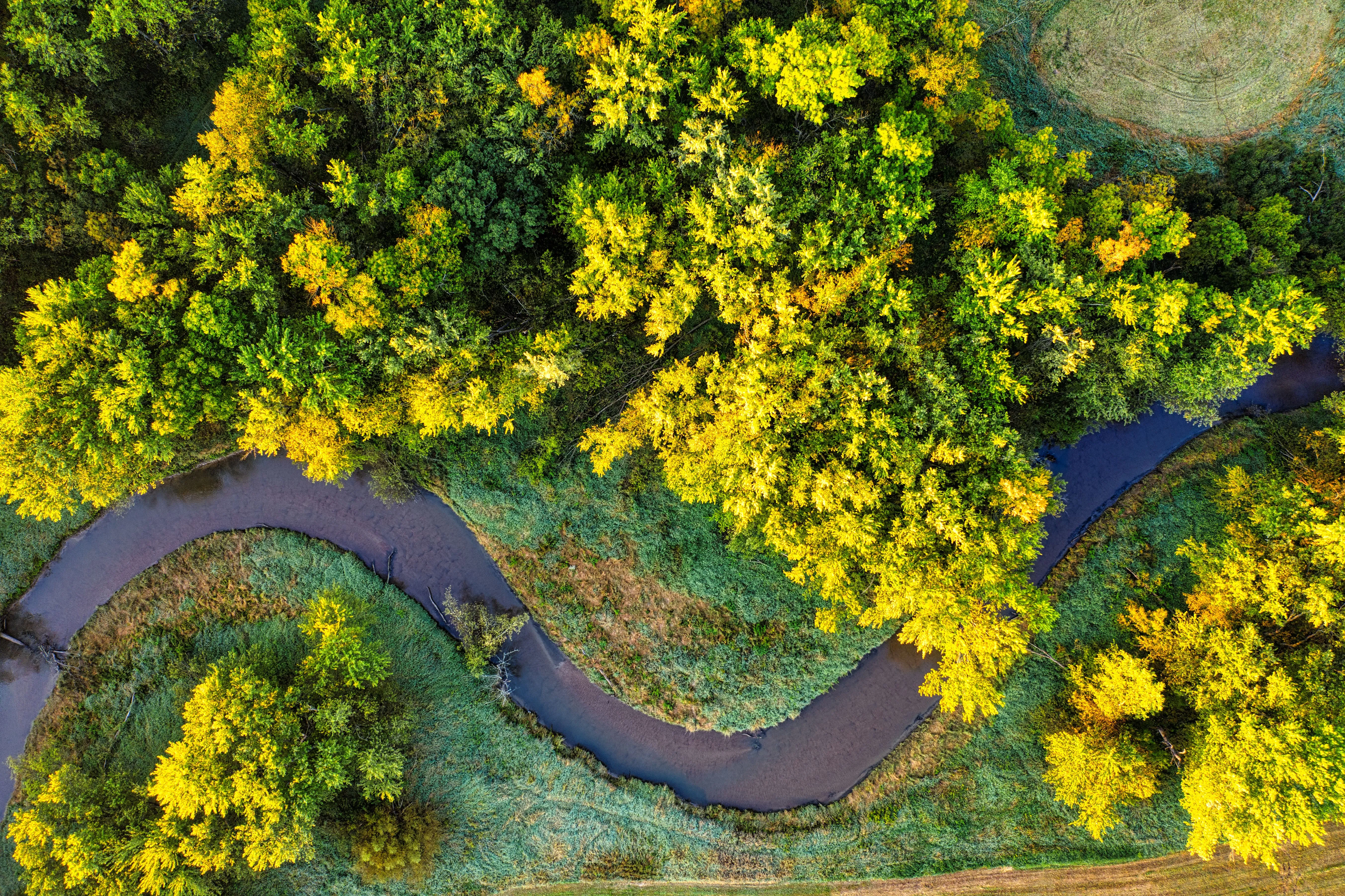 Stunning aerial shot of a meandering river surrounded by vibrant autumn foliage in Wisconsin.